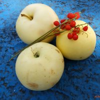 И пахнет яблоком сентябрь... :: Андрей Заломленков