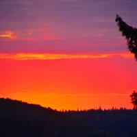 утро :: леонид логинов