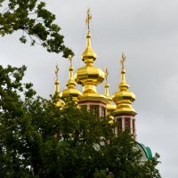 Москва. Новодевичий монастырь. Купола. :: Наташа *****