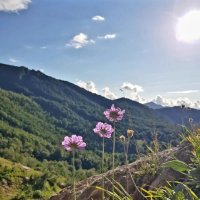 Пшехский водопаД :: Tata Wolf Пшехский водопаД :: Tata Wolf