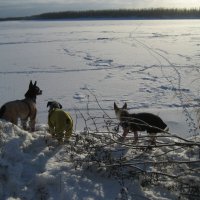 У протоки :: Anna Ivanova