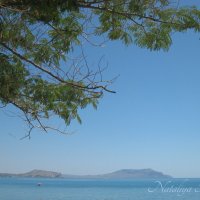 Природа Крыма :: Amazing Cosmea