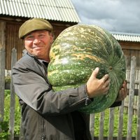 Рекордсменка :: СЮ 