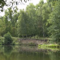 Река Тускарь :: Дмитрий Курский 