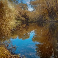 Ижевск Осенний :: Svetlana Galvez