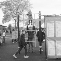 /// :: Виктор Никитенко