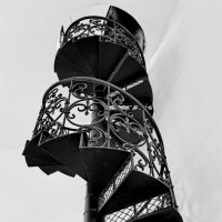 Черно-белая фотография :: Любимова Ольга 