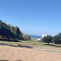 "" :: Светлана Хращевская