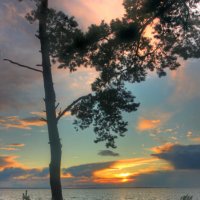 *** :: Сергей Григорьев