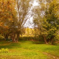 На лугах :: Виктор Замулин На лугах :: Виктор Замулин