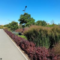 В ростовском экопарке Первая миля :: Нина Бутко В ростовском экопарке Первая миля :: Нина Бутко