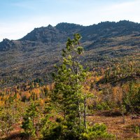 - :: Владимир 