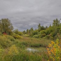 Палитра сентября... :: Владимир Жданов