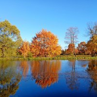 Золотой октябрь. :: Лия ☼