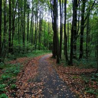 Мимо осени никто не проедет :: Андрей Лукьянов Мимо осени никто не проедет :: Андрей Лукьянов