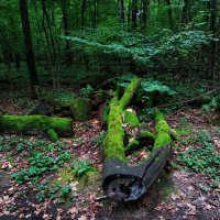 * * * :: Андрей Лукьянов * * * :: Андрей Лукьянов