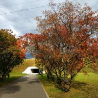 Мимо осени никто не проедет :: Андрей Лукьянов Мимо осени никто не проедет :: Андрей Лукьянов