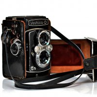 старый друг... :: Ирина С