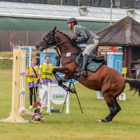 Конкур :: Анатолий Шумилин