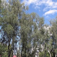 Небо августа. :: Владимир Драгунский