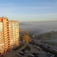 Тополь в тумане :: Андрей Макурин