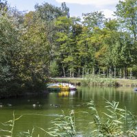 Осень в  Гагаринском  парке :: Валентин Семчишин