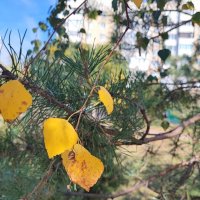 ,,, :: Сергей Тимоновский ,,, :: Сергей Тимоновский