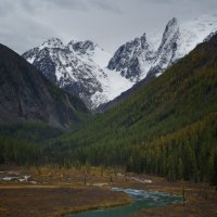 * :: Александр Иванов