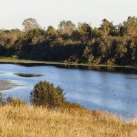 р.Полонка :: Артем 