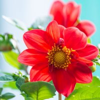 *** :: Виктор Иванович Чернюк