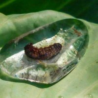 После дождя. :: юрий Амосов После дождя. :: юрий Амосов