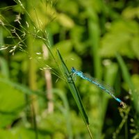 Про стрелку... :: Николай Гирш Про стрелку... :: Николай Гирш