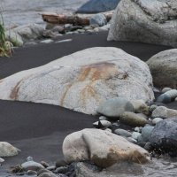 Её не выбросило. Она сама. Хандрит рыбёха. Осень пришла. :: Юрий Вовк