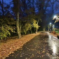 вечер :: Нельсон 