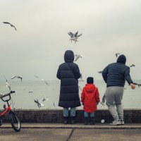 В гостях у чаек. :: Анатолий Щербак