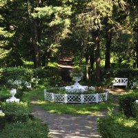 Заброшенный сад в имении Быково :: Марина Виноградова