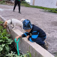 Там что-то интересное! :: Ольга 