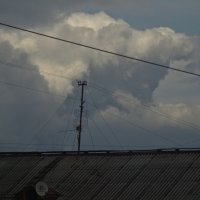 Облака - белокрылые лошадки. :: Сергей Сергеев