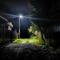 Улица в ночи... :: Станислав Мутовин