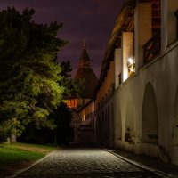 Астраханский Кремль :: Сергей Сабешкин Астраханский Кремль :: Сергей Сабешкин