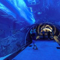 Где-то в Дубае. :: Boris Zhukovskiy