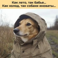Вот так-от... :) :: Валерий Кокорев