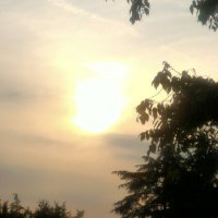 Релакс :: Натали 