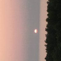 И кисти не нужны) :: Натали 