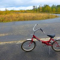 Сентябрь...На Олений остров- на велосипеде!? :: Владимир 