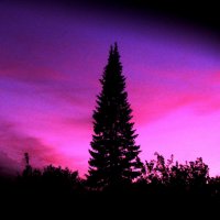 Красивый вечер :: Людмила Смородинская Красивый вечер :: Людмила Смородинская