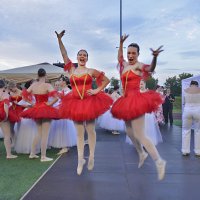 Красненькие лебеди... )) :: Владимир Хиль Красненькие лебеди... )) :: Владимир Хиль