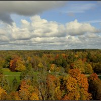 Осенняя дорога :: Aleksandr Gal