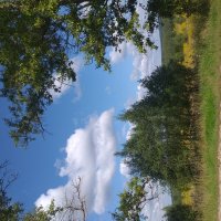 дорожные картины... :: Галина Флора