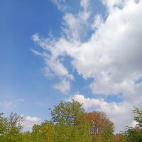 Осень :: Татьяна Пальчикова Осень :: Татьяна Пальчикова